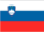 Slovenian flag